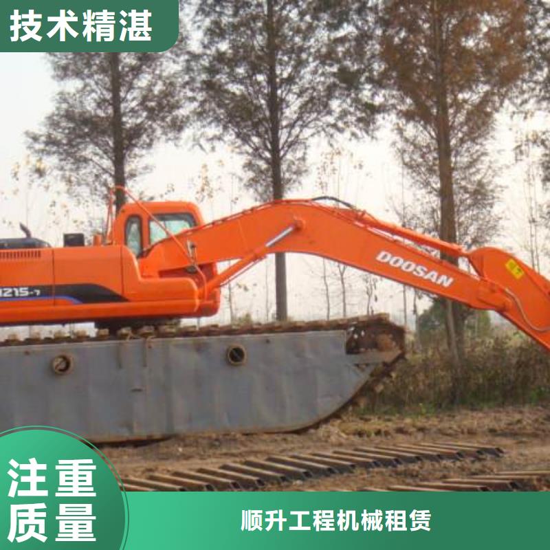 山东水陆挖掘机出租_多年生产经验