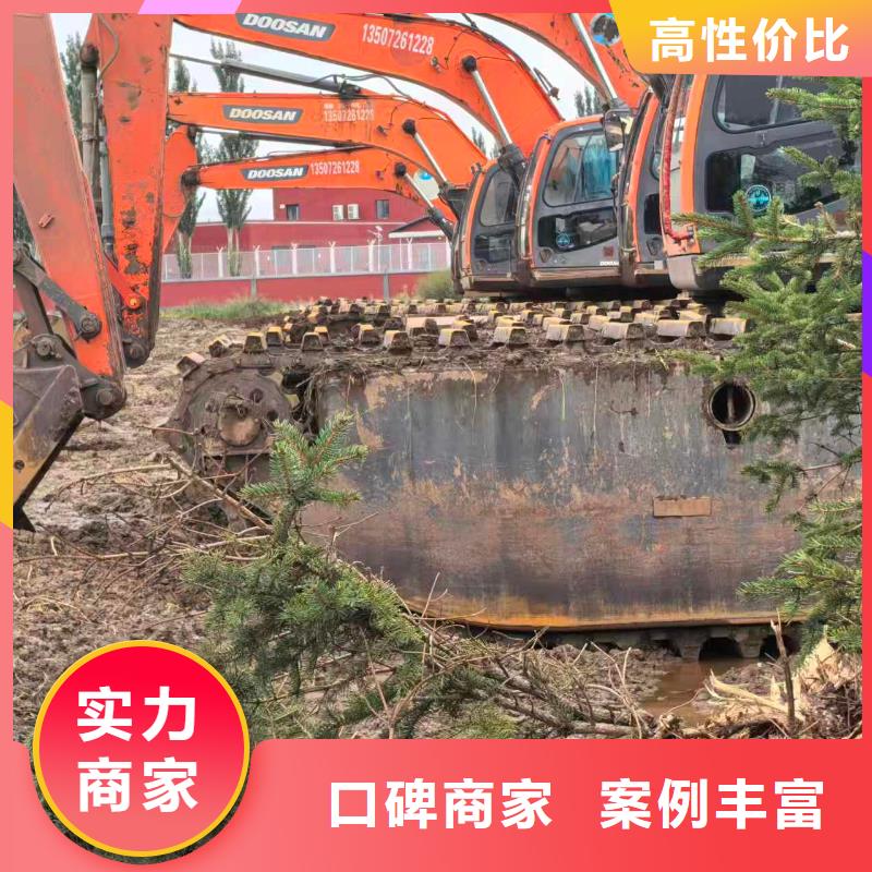 湿地沼泽地挖掘机出租-湿地沼泽地挖掘机出租欢迎您