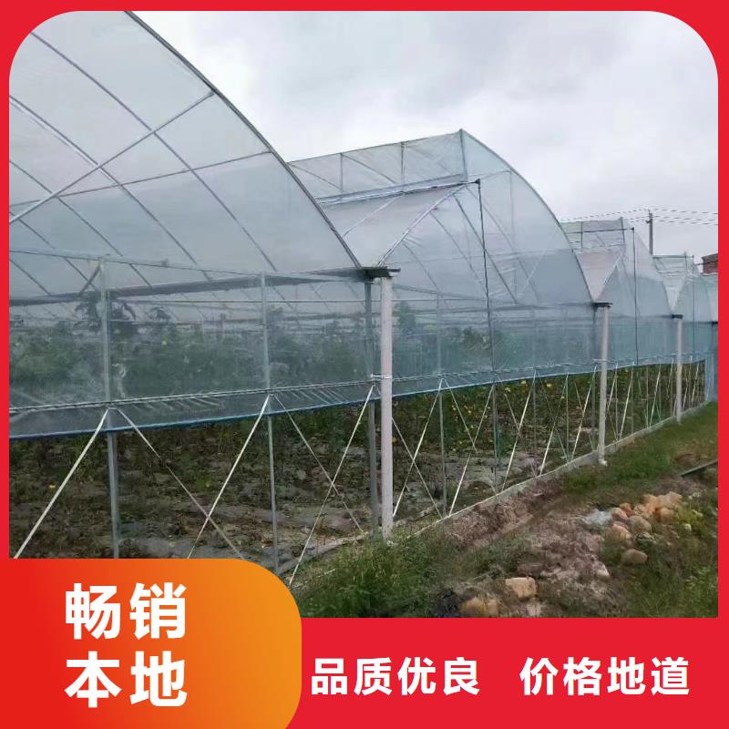 温室大棚多少钱一平方实力老厂