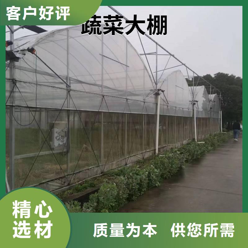 县中草药种植大棚源头厂家