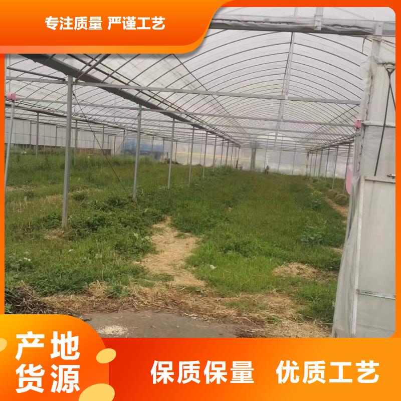 县蔬菜大棚管价格靠谱厂家
