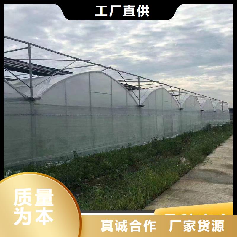 广东省深圳市笋岗街道蔬菜大棚厂诚信厂家