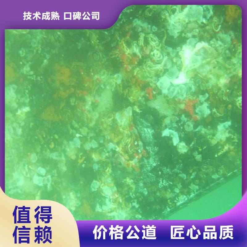 水下拍照视频-通渭|岷县|陇南|武威|嘉峪关|平凉|兰州|金昌|酒泉粤龙水下拍照_ 粤龙潜水(定西市分公司)