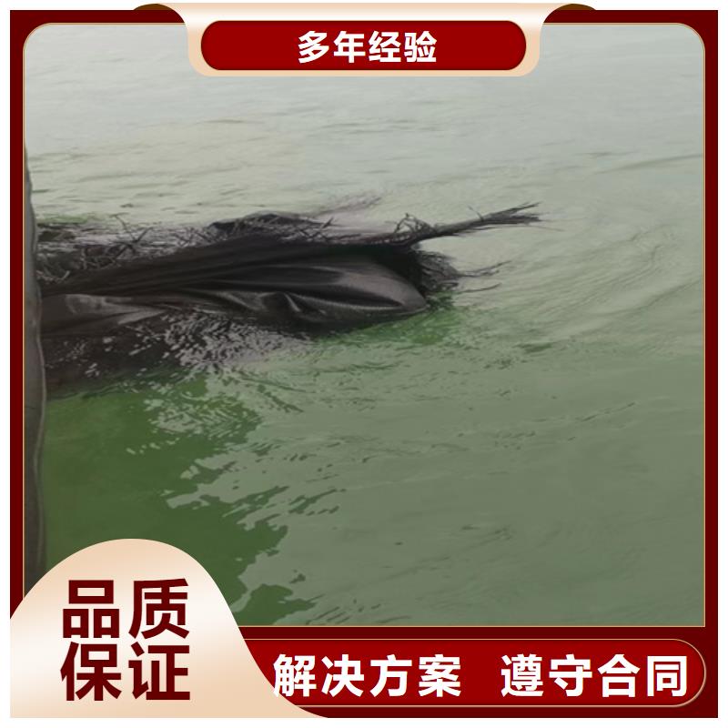 桥梁检测欢迎电询