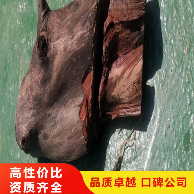 桥梁检测欢迎电询