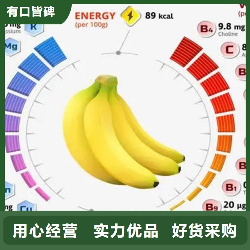 成分分析切片成分分析正品保障