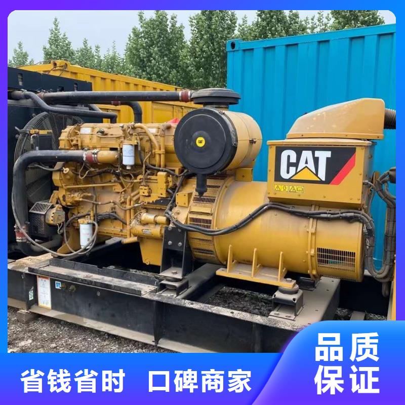 国产柴油发电机租赁灵活方便