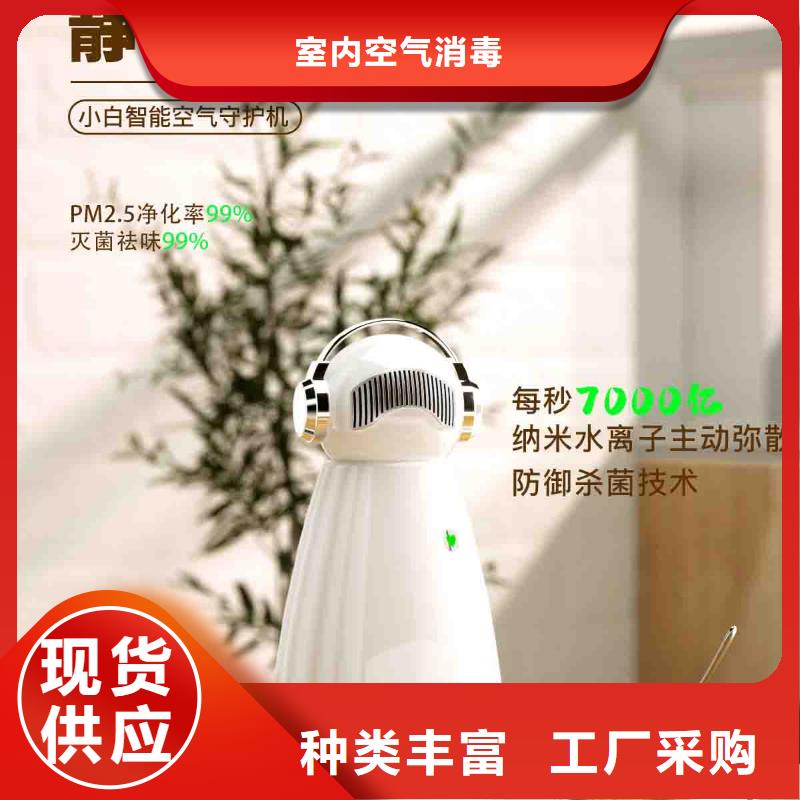 小白孕妇空气守护机车载空气净化器销售优良材质