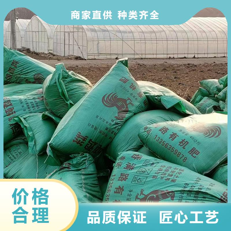 干鸡粪块培肥地力