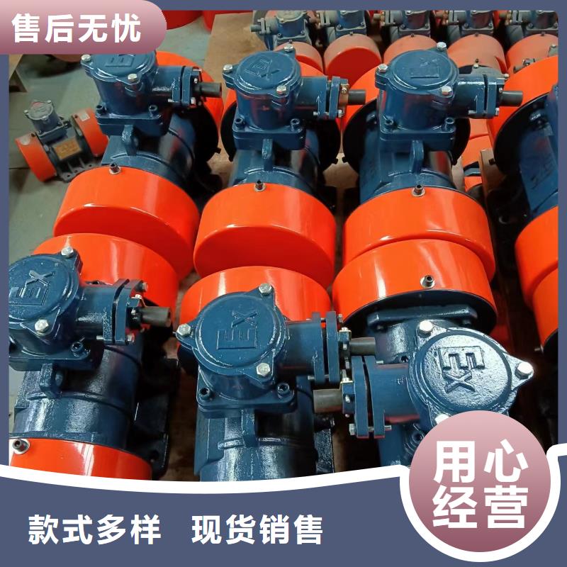防爆振动电机平板振动器厂家厂家工艺先进