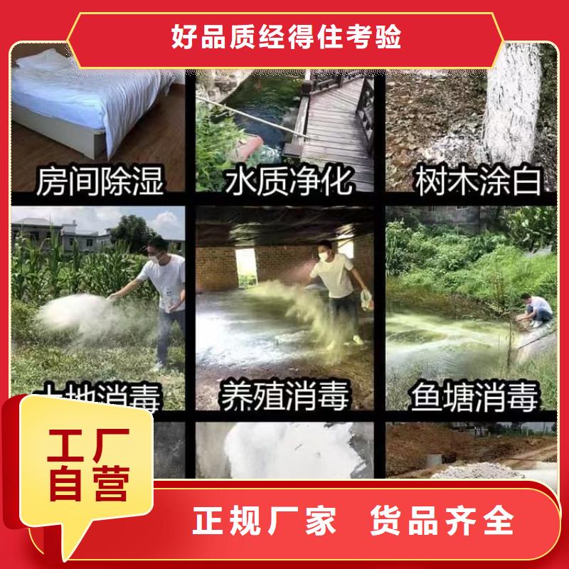 石灰氧化钙实时报价