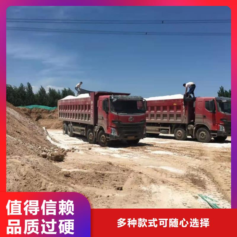 石灰高钙白灰  我们更专业