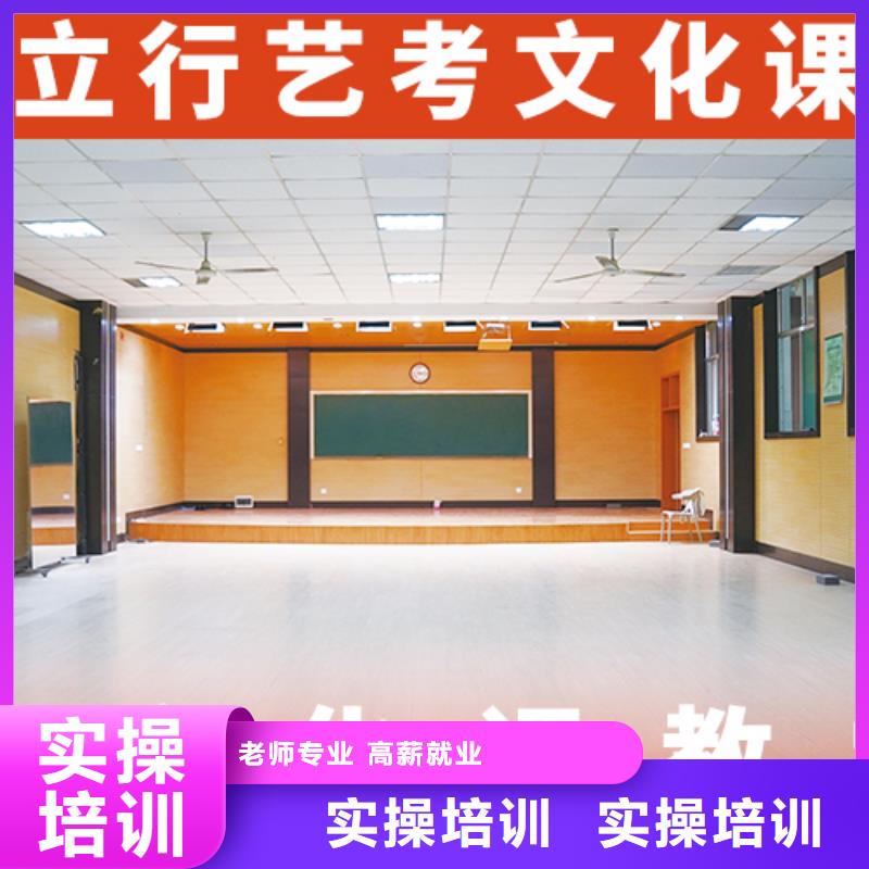 有几所学校艺术生文化课补习学校