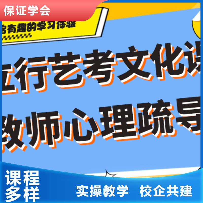 艺术生文化课高考冲刺辅导机构全程实操