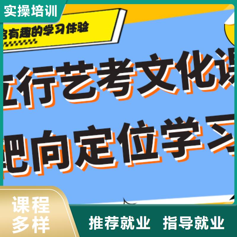 【艺术生文化课艺考复读清北班理论+实操】