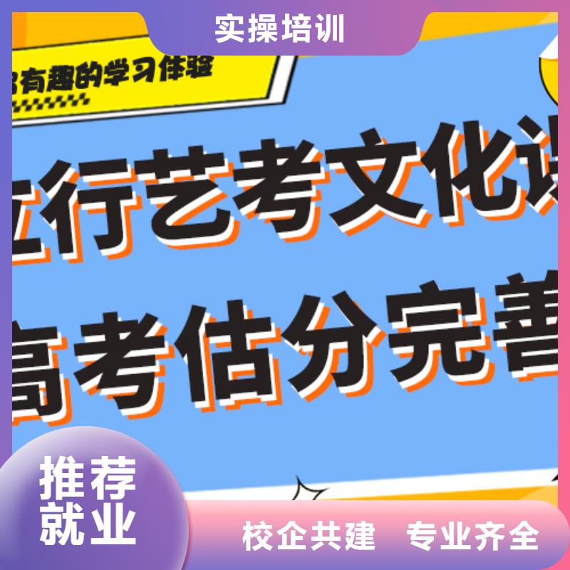 艺术生文化课【高考冲刺班】课程多样