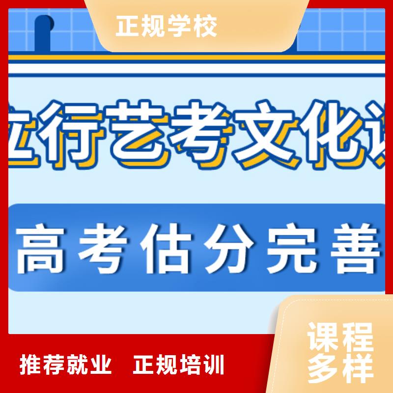 艺术生文化课艺考文化课百日冲刺班手把手教学