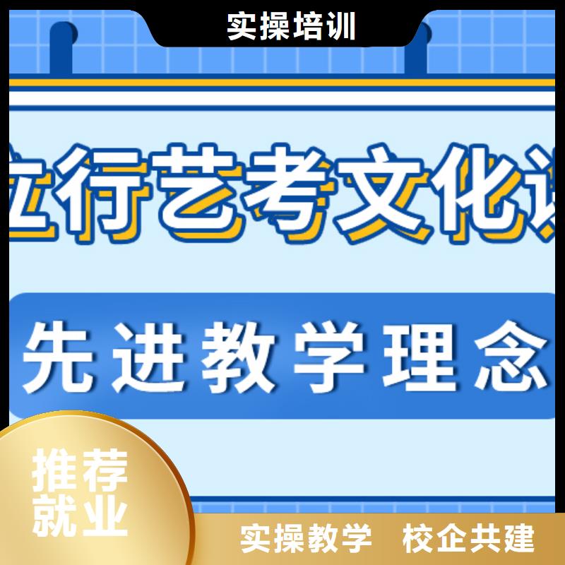 艺术生文化课-艺考复读清北班保证学会