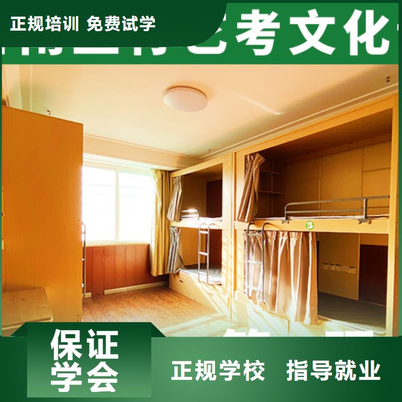 【艺术生文化课,艺考一对一教学学真技术】