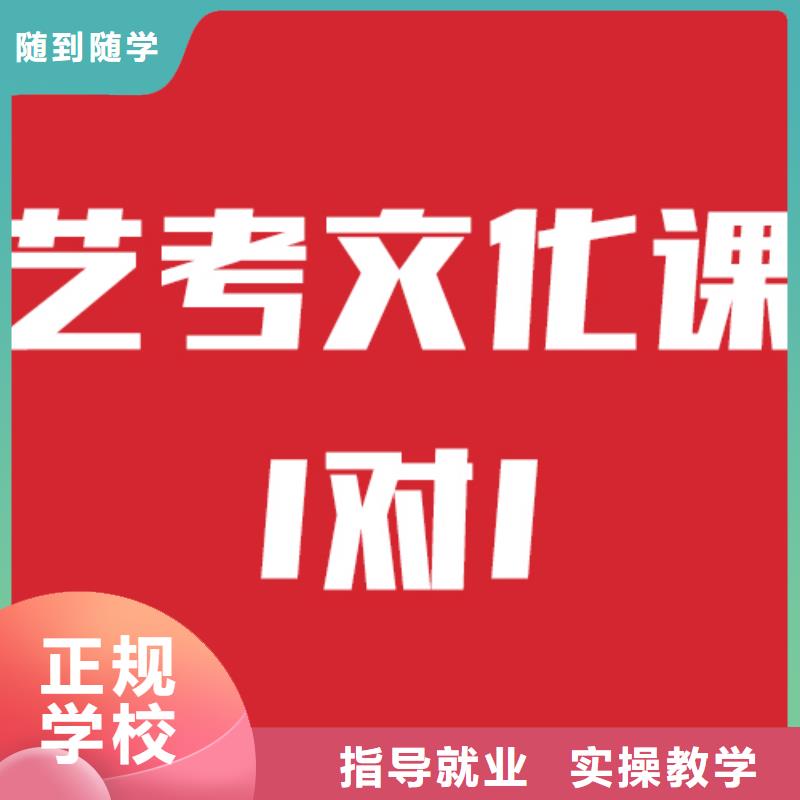 【艺考文化课培训,高考补习学校学真技术】