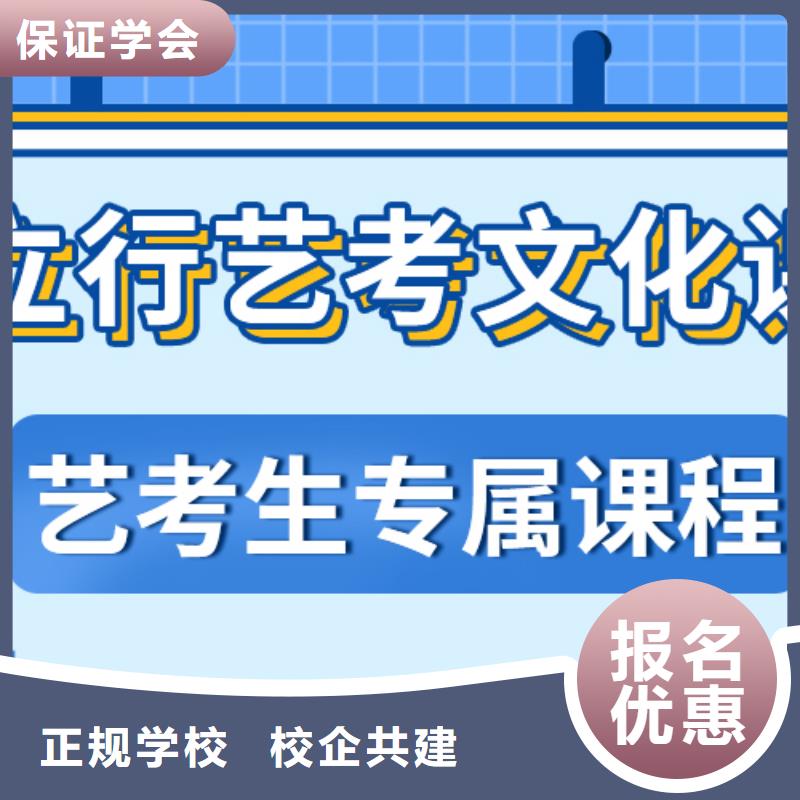 艺考生文化课【编导文化课培训】理论+实操