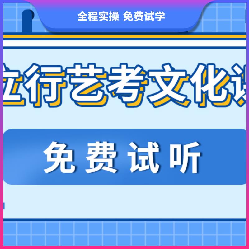 艺考生文化课高考语文辅导实操教学