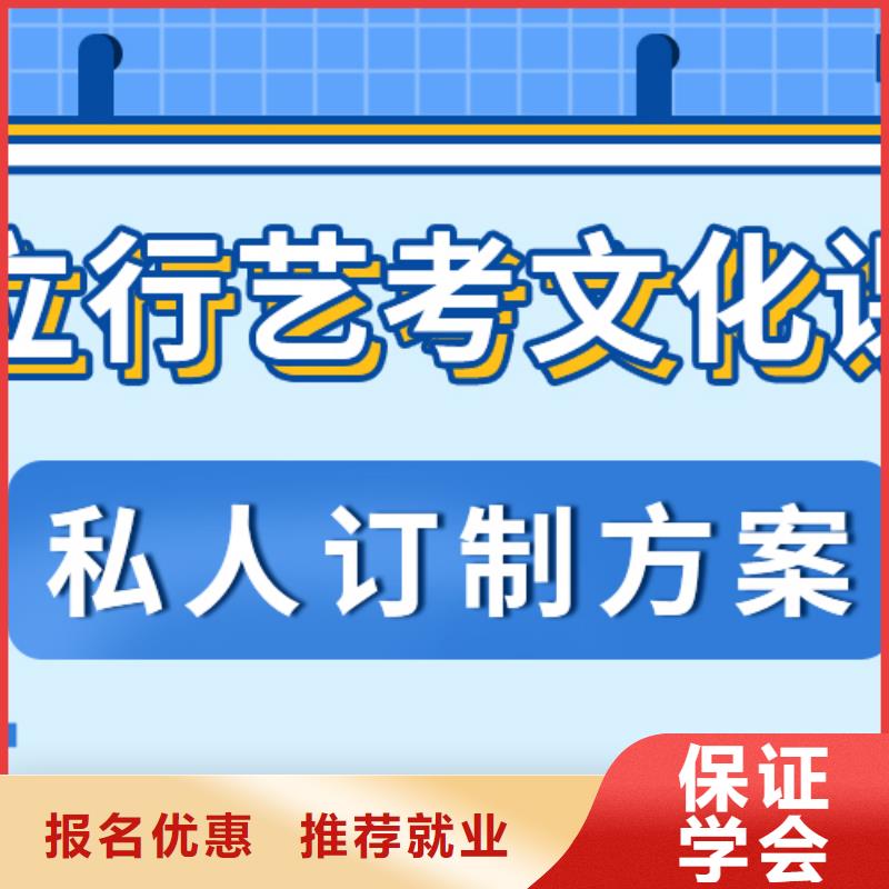 艺考生文化课【高考冲刺全年制】老师专业