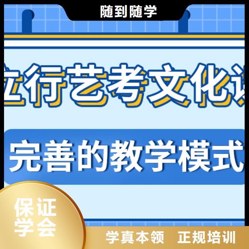 艺考生文化课高考语文辅导实操教学