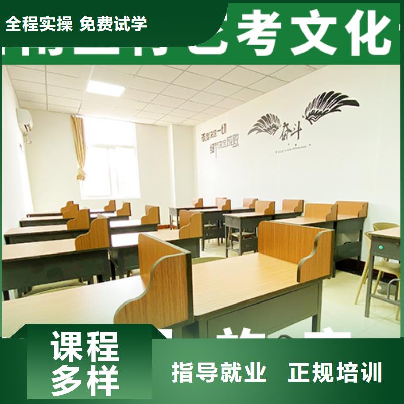 艺考文化课艺考培训机构老师专业