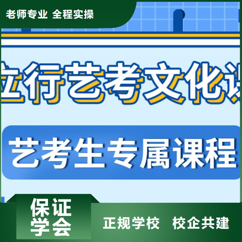 艺考文化课_【高考补习班】手把手教学