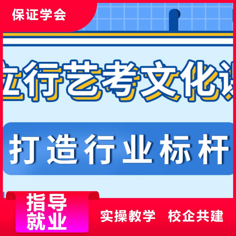 艺考文化课_【高考补习班】手把手教学