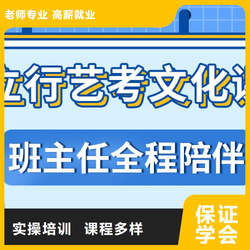 艺考文化课艺考一对一教学高薪就业