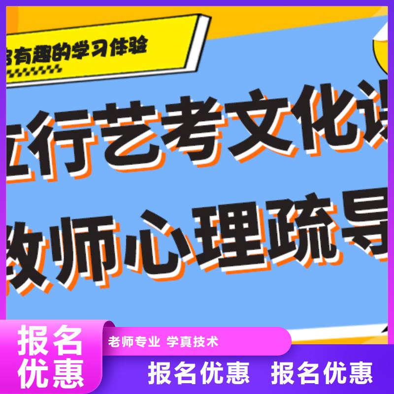 艺考文化课学历师资力量强