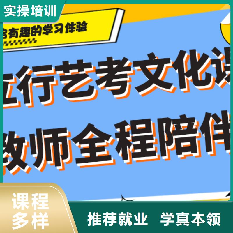 艺考文化课艺考一对一教学高薪就业