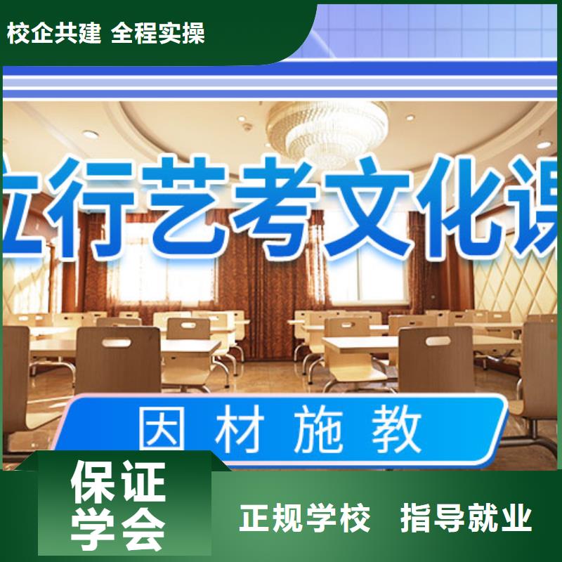 艺考文化课,高考手把手教学