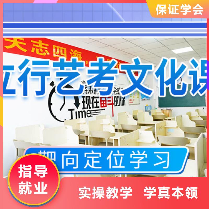 艺考文化课高考补习学校学真技术