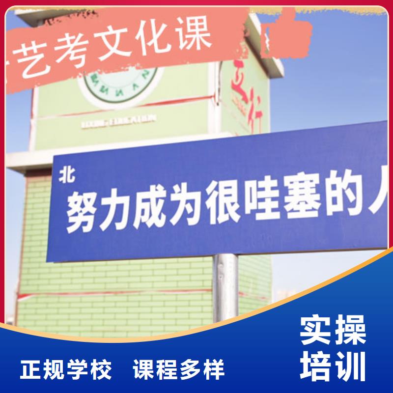 艺考生文化课辅导集训升本多的哪个好