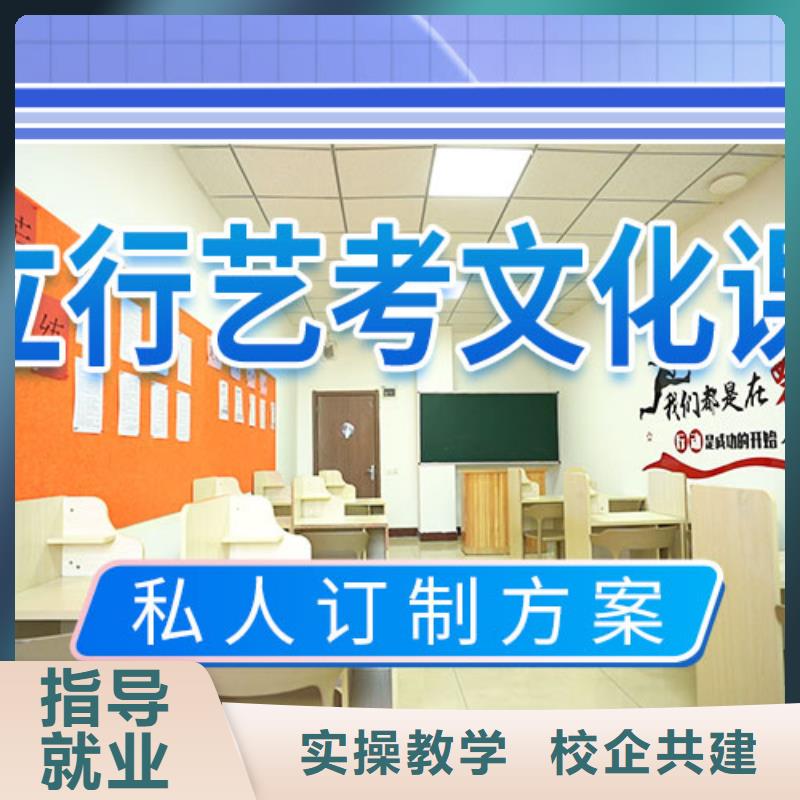 艺考生文化课冲刺美术生文化课培训老师专业