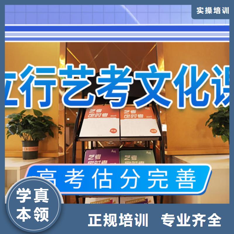 【艺考生文化课冲刺】艺术专业日常训练老师专业