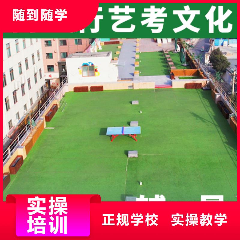 艺考生文化课冲刺美术生文化课培训老师专业