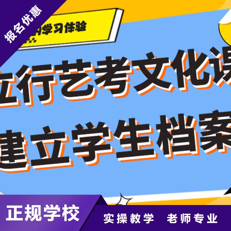 艺考生文化课冲刺美术生文化课培训老师专业