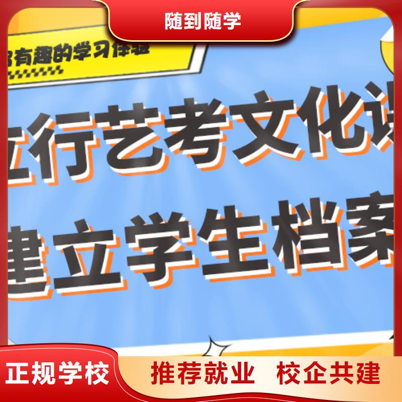 艺考生文化课冲刺师资力量强