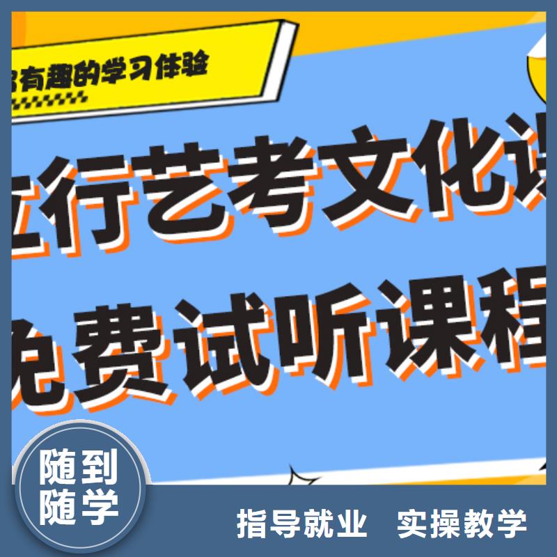 艺考生文化课冲刺艺考复读清北班免费试学