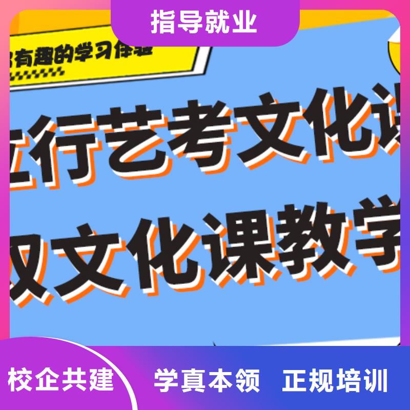 艺考生文化课冲刺艺术生文化补习手把手教学