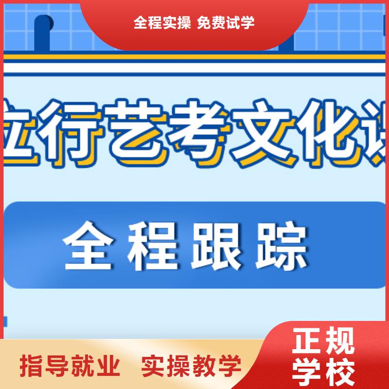艺考生文化课冲刺艺术生文化补习手把手教学