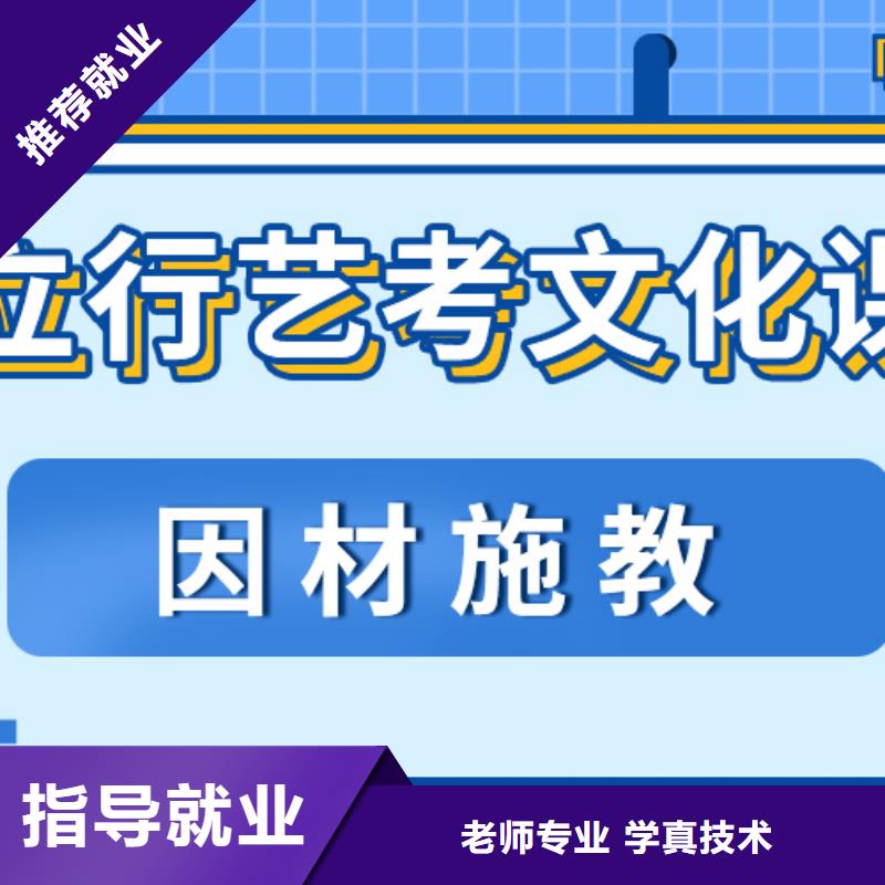 艺考生文化课冲刺美术生文化课培训老师专业