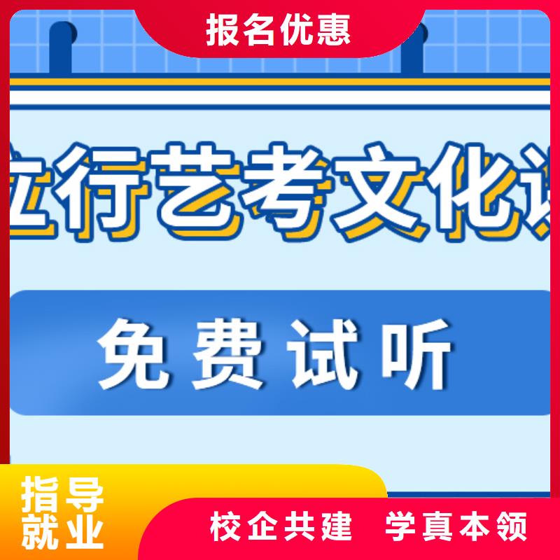 艺考生文化课冲刺艺术生文化补习手把手教学