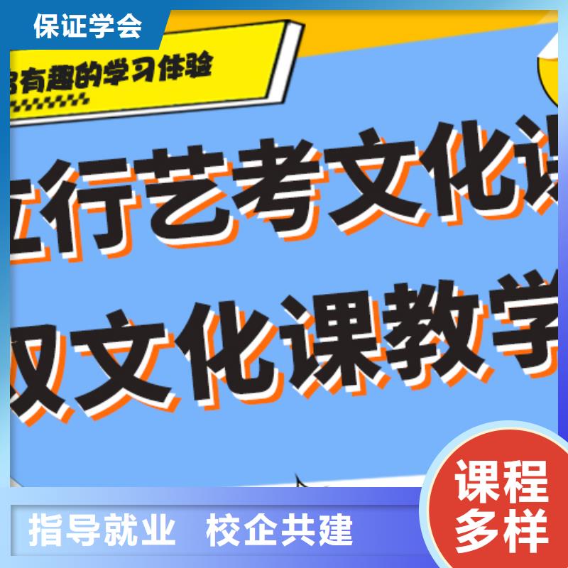 【艺考文化课集训班美术生文化课培训实操培训】