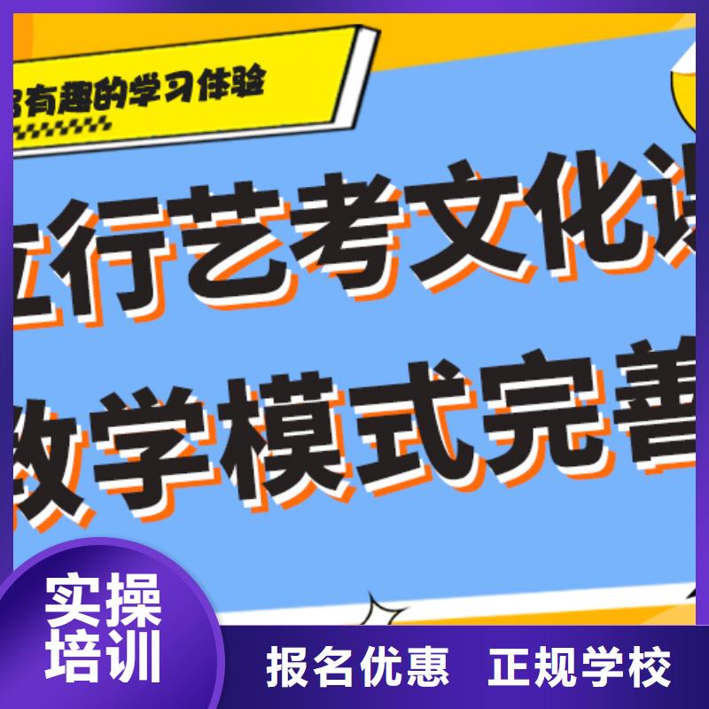 艺考文化课集训班艺考辅导老师专业