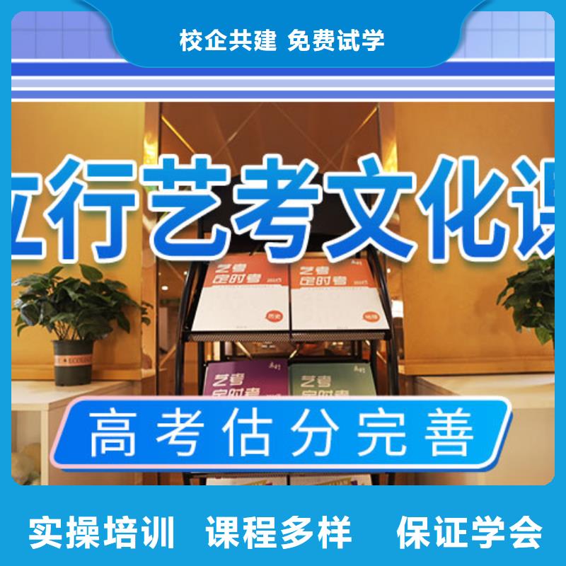 艺考文化课集训班艺考辅导老师专业